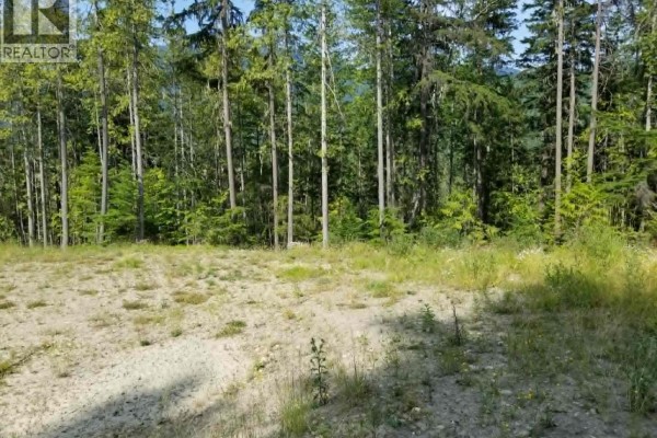 Lot 1 Brouse Loop Road, Nakusp, BC, photo 3