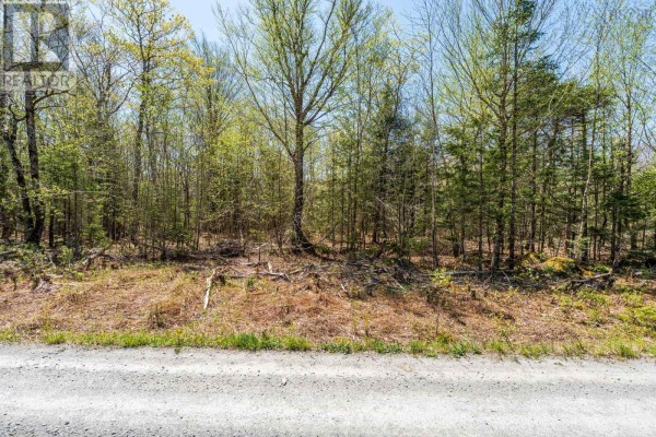 Lot 1 Chemin Theriault Point Road, Belliveaus Cove, NS B0W1M0 Photo 2