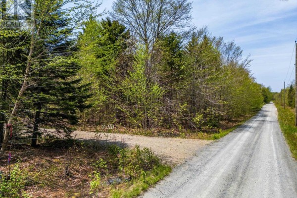 Lot 1 Chemin Theriault Point Road, Belliveaus Cove, NS B0W1M0 Photo 3