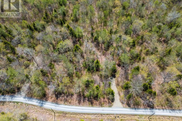 Lot 1 Chemin Theriault Point Road, Belliveaus Cove, NS B0W1M0 Photo 4
