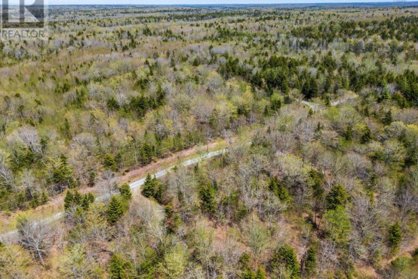 Lot 1 Chemin Theriault Point Road, Belliveaus Cove, NS B0W1M0 Photo 5