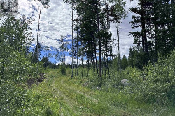 Lot 1 Chuckwagon Trail, 100 Mile House, BC, photo 2