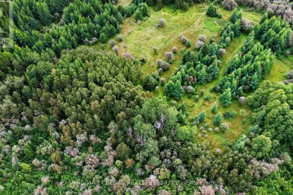 Lot 1 Conc 10 Concession, Cochrane Remote Area, ON P0L1L0 Photo 3