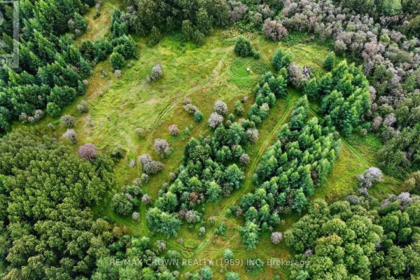 Lot 1 Conc 10 Concession, Cochrane Remote Area, ON P0L1L0 Photo 4