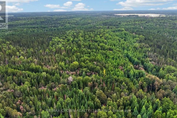 Lot 1 Conc 10 Concession, Cochrane Remote Area, ON P0L1L0 Photo 5