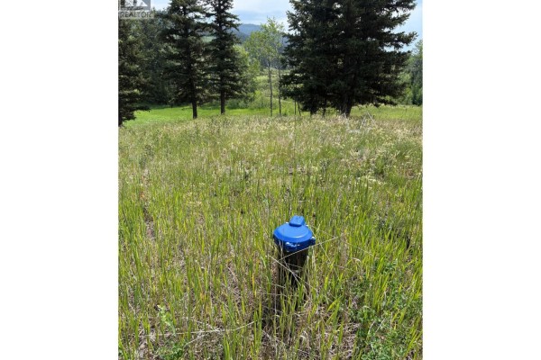 Blue capped water well in a field of tall green and dry grass. - Lot 1 Copper Creek Rd Road, Kamloops