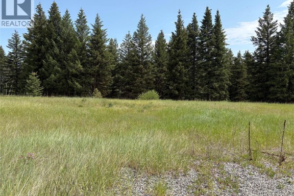 Open green meadow seen between two large evergreen trees in the foreground. - Lot 1 Copper Creek Rd Road, Kamloops