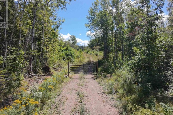 Gravel path leading to a gated entrance surrounded by trees and wildflowers. - Lot 1 Dalhousie Road, Loganville