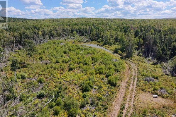 Aerial view of a clearing with overgrown vegetation and a winding path. - Lot 1 Dalhousie Road, Loganville