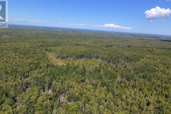 Aerial view of expansive forested land with a clear horizon under a blue sky. - Lot 1 Dalhousie Road, Loganville