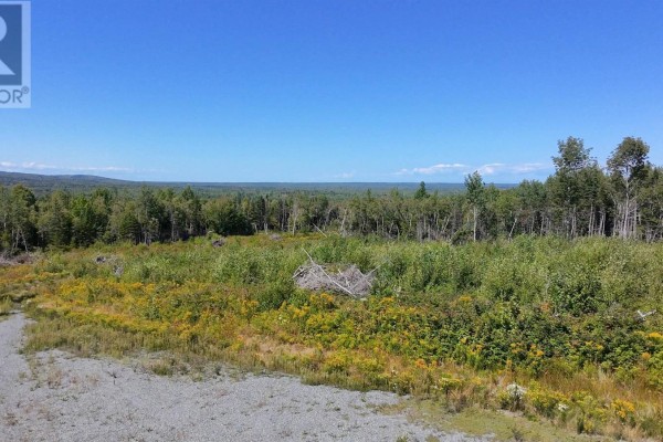 Open land with sparse vegetation and a view of distant hills under a clear sky. - Lot 1 Dalhousie Road, Loganville