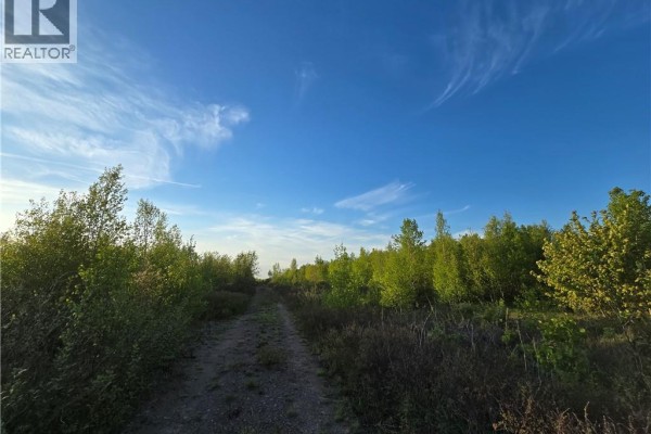 A dirt track curves through a rural landscape with lush green trees on either side under a bright blue sky. - Lot 1 Dingley Road, Head Of Millstream