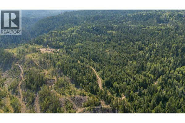 Lot 1 Elliot Forest Service Road, Lemon Creek, BC V0G2C0 Photo 2