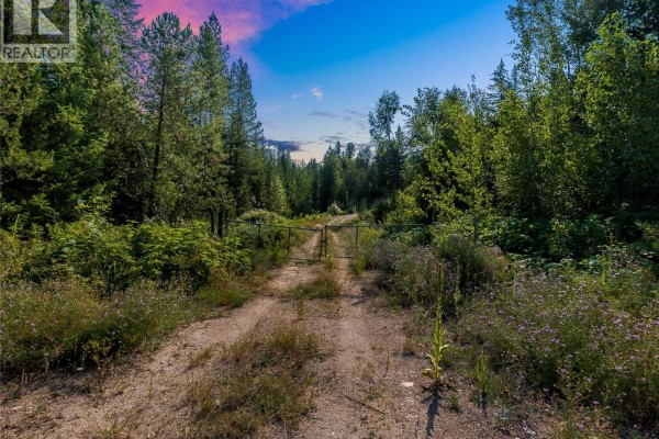 Lot 1 Elliot Forest Service Road, Lemon Creek, BC V0G2C0 Photo 3