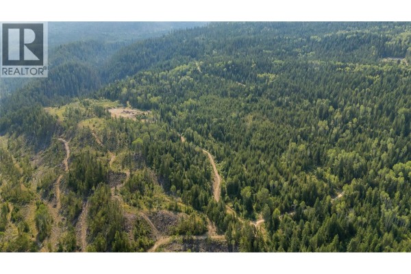 Lot 1 Elliot Forest Service Road, Lemon Creek, BC V0G2C0 Photo 4
