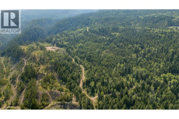 Lot 1 Elliot Forest Service Road, Lemon Creek, BC V0G2C0 Photo 5
