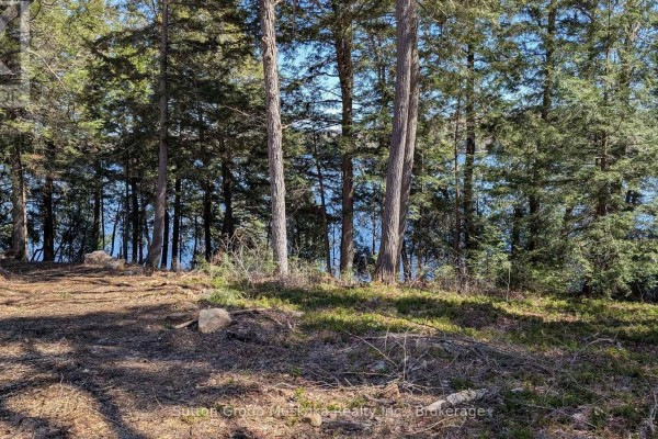 Lot 1 Esig Lane, Lake Of Bays, ON, photo 3