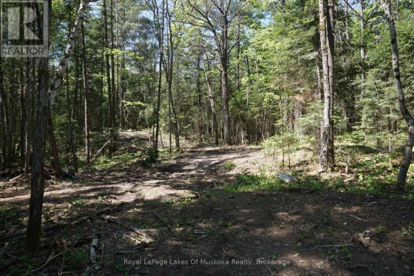 Lot 1 Fairy Falls Road Nw, Lake Of Bays, ON, photo 3
