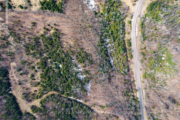Lot 1 Foymount Road, Bonnechere Valley, ON K0J1W0 Photo 4