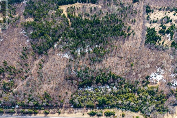 Lot 1 Foymount Road, Bonnechere Valley, ON K0J1W0 Photo 5