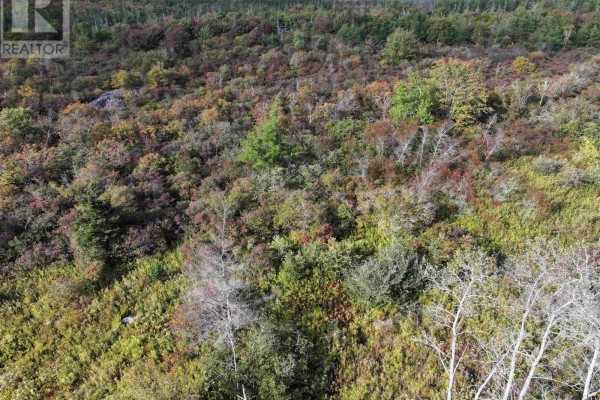 Lot 1 Goldenville Road, Goldenville, NS B0J0B3 Photo 4