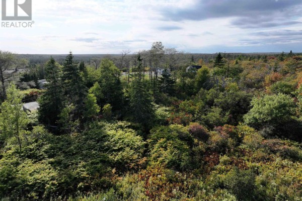 Lot 1 Goldenville Road, Goldenville, NS B0J0B3 Photo 5