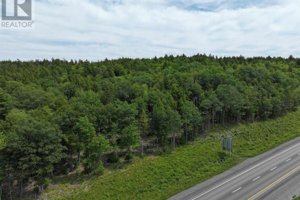 Lot 1 Highway 101, Ellershouse, NS B0N2T0 Photo 2