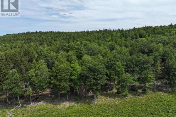 Lot 1 Highway 101, Ellershouse, NS B0N2T0 Photo 3