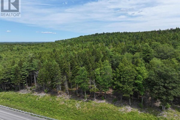 Lot 1 Highway 101, Ellershouse, NS B0N2T0 Photo 4