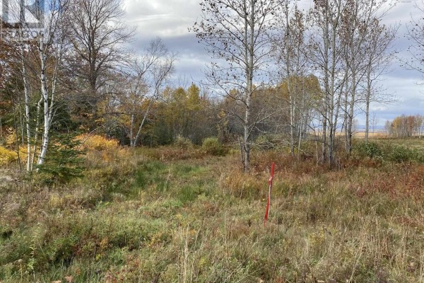 Lot 1 Highway 215, Noel, NS B0N2C0 Photo 4