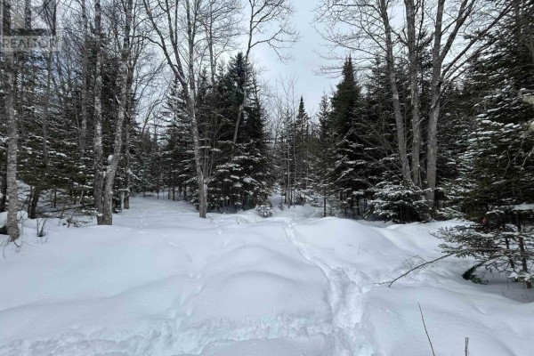 Lot 1 Highway 289, Middle Stewiacke, NS B0N1C0 Photo 3