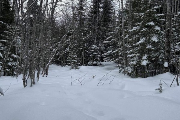 Lot 1 Highway 289, Middle Stewiacke, NS B0N1C0 Photo 4
