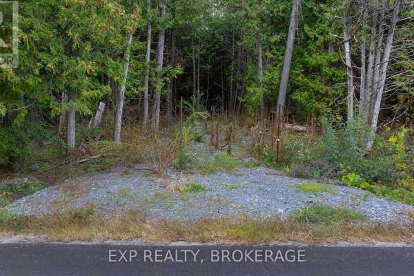 Lot 1 Horning Road, Frontenac, ON K0H1M0 Photo 5