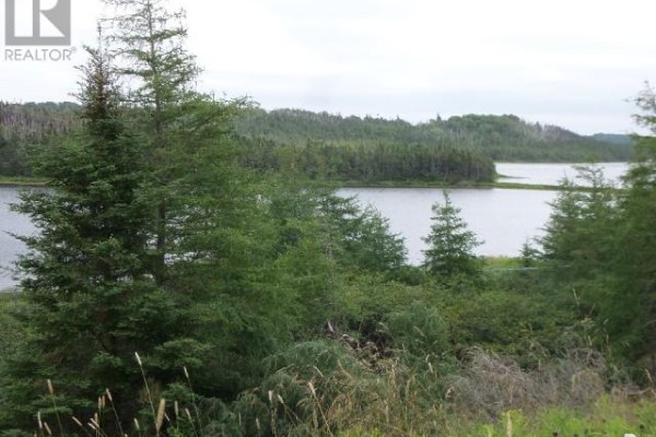 Lot 1 Junction Pond Unit#lot 1, Whitbourne, NL A0B3K0 Photo 4