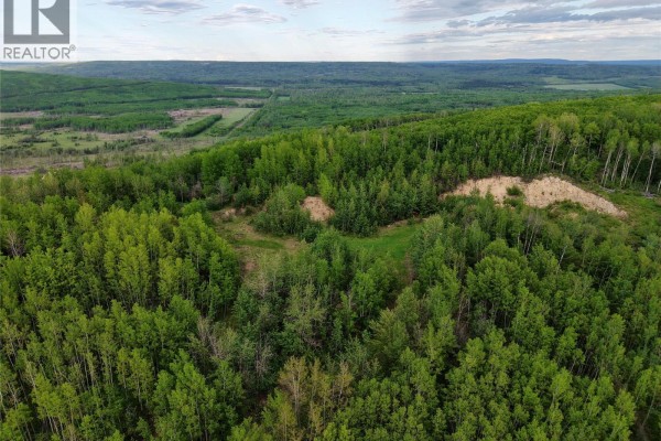 Lot 1 Kendrew Subdivision, Pouce Coupe, BC V0C2C0 Photo 2