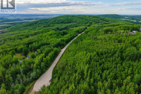 Lot 1 Kendrew Subdivision, Pouce Coupe, BC V0C2C0 Photo 3