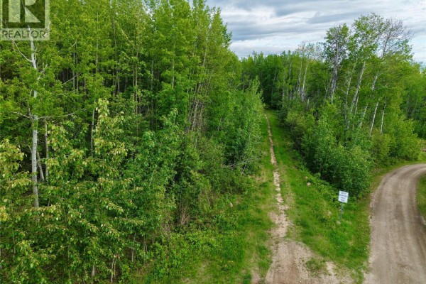 Lot 1 Kendrew Subdivision, Pouce Coupe, BC V0C2C0 Photo 5