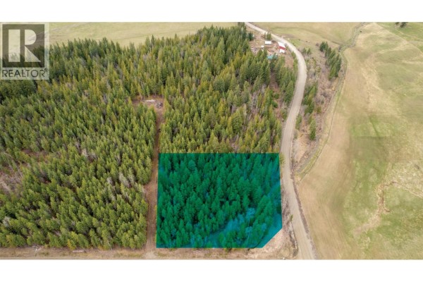 Lot 1 Lions Ridge Road, Celista, BC V1Y5J4 Photo 4