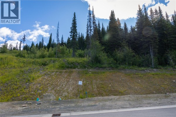 Lot 1 Mcgillivray Lake Drive, Sun Peaks, BC V0E5N0 Photo 5