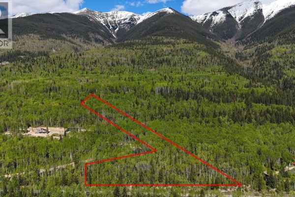 Lot 1 Mountain View Road, Mcbride, BC V0J2E0 Photo 3