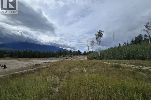 Lot 1 N 5 Highway, Valemount, BC, photo 3