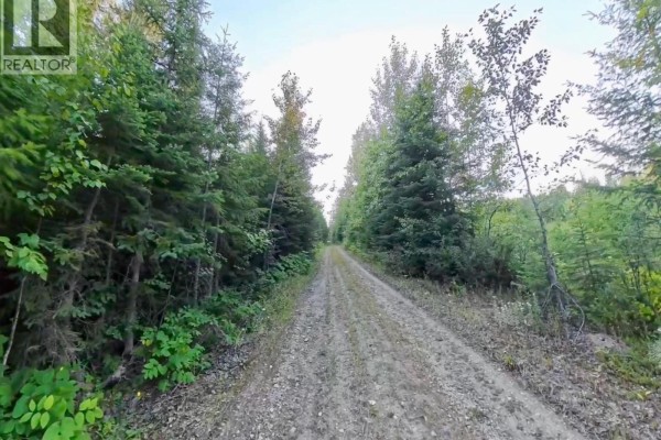 Lot 1 Neville Road, Golden, BC V0A1H0 Photo 4