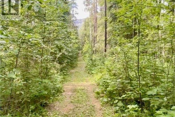Lot 1 Neville Road, Golden, BC V0A1H0 Photo 5
