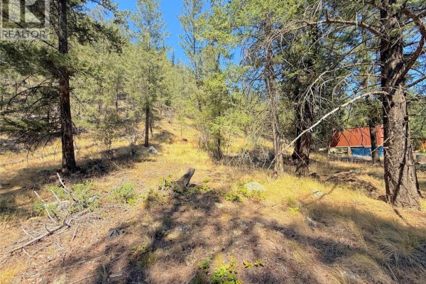 Lot 1 Old Hedley Road, Princeton, BC V0X1W0 Photo 4