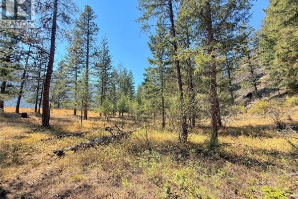 Lot 1 Old Hedley Road, Princeton, BC V0X1W0 Photo 5