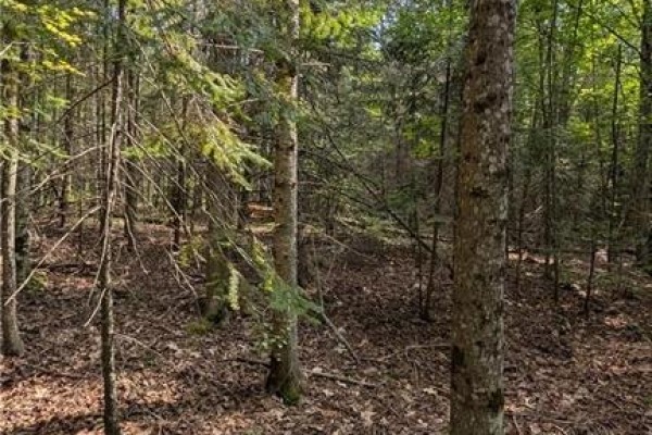 Lot 1 On-17 Trans Canada Highway, Plummer Additional, ON P0R1C0 Photo 5
