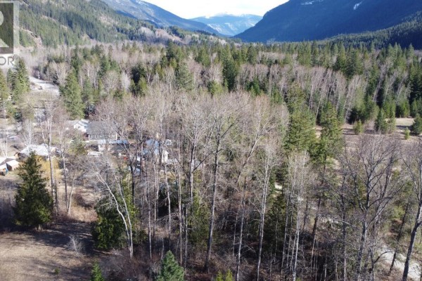 Lot 1 Passmore Old Road, Passmore, BC V0G2J0 Photo 2