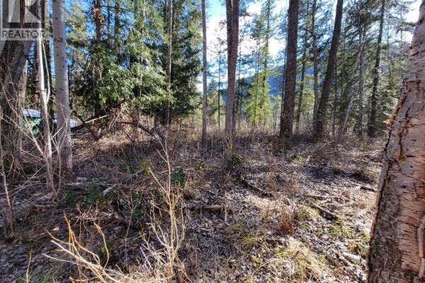 Lot 1 Passmore Old Road, Passmore, BC V0G2J0 Photo 4