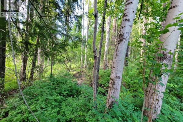 Lot 1 Passmore Old Road, Passmore, BC V0G2J0 Photo 5
