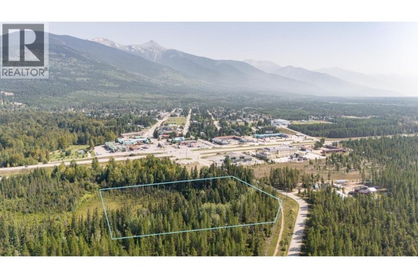 Lot 1 Pine Road, Valemount, BC, photo 2